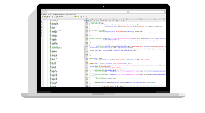 Software-Entwicklung
